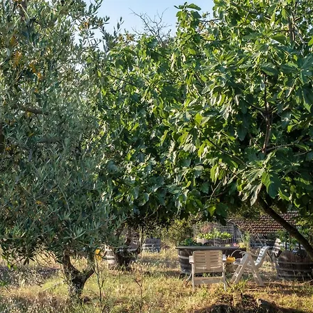 Prázdninový dům Podere Pruneto