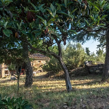 Podere Pruneto * Radda in Chianti