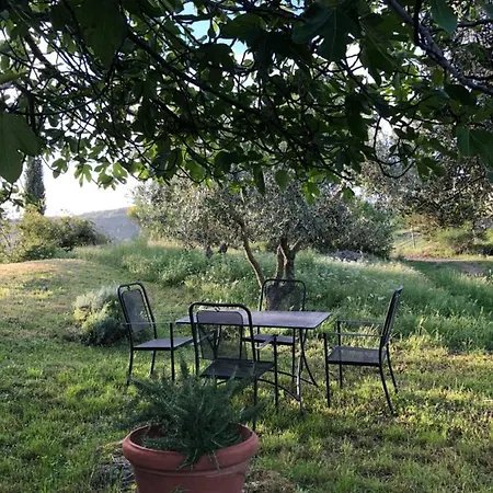 Tatil Evi Podere Pruneto Radda in Chianti