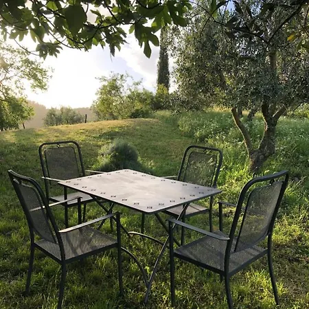 Podere Pruneto * Radda in Chianti