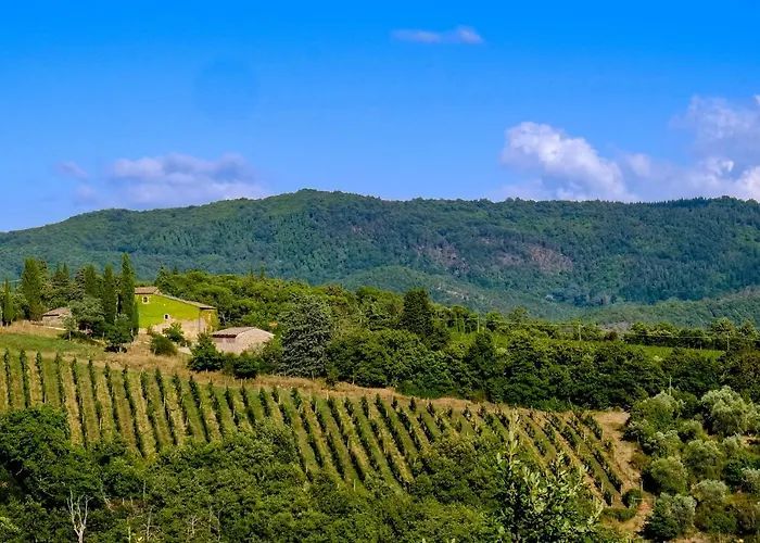 Podere Pruneto Prázdninový dům