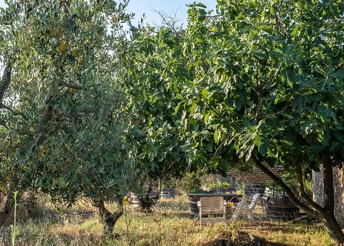 Prázdninový dům Podere Pruneto