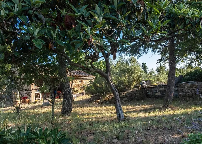 Podere Pruneto * Radda in Chianti